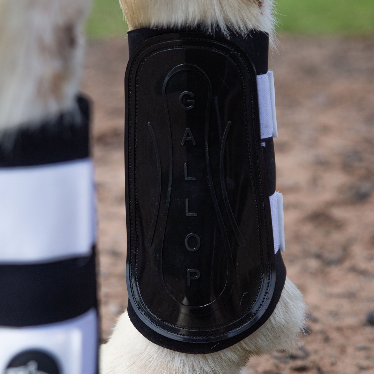 NEW GALLOP GP Brushing Boots