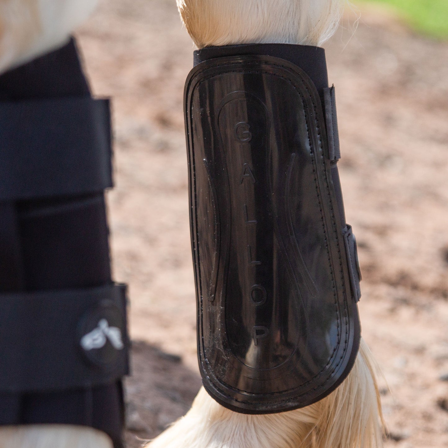 NEW GALLOP GP Brushing Boots
