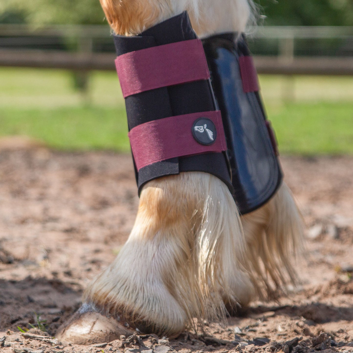 NEW GALLOP GP Brushing Boots