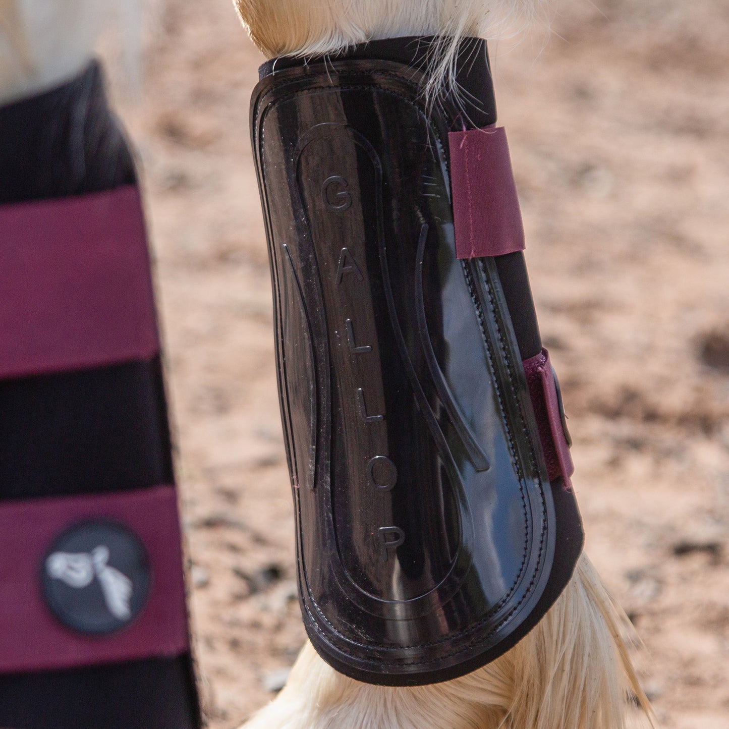 NEW GALLOP GP Brushing Boots