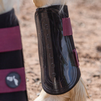 NEW GALLOP GP Brushing Boots