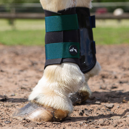 NEW GALLOP GP Brushing Boots