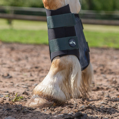 NEW GALLOP GP Brushing Boots