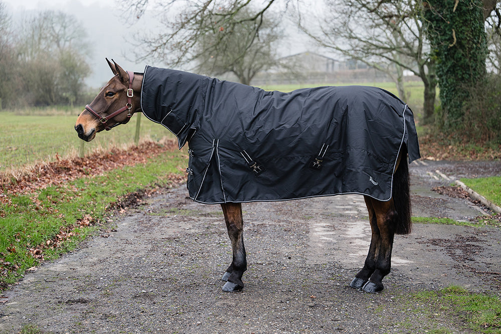 Rhinegold Monsoon Full Neck 200g Combo Turnout Rug with 600d outer.