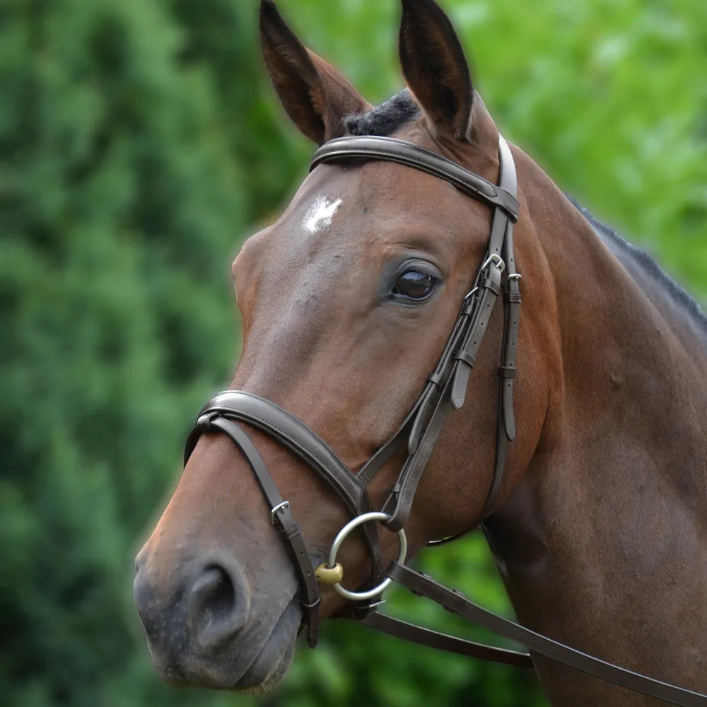 Hy Equestrian Padded Flash Bridle with Rubber Reins