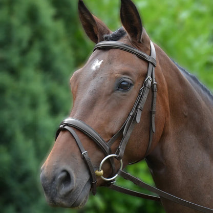 Hy Equestrian Padded Flash Bridle with Rubber Reins