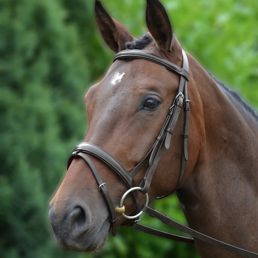Hy Equestrian Padded Flash Bridle with Rubber Reins