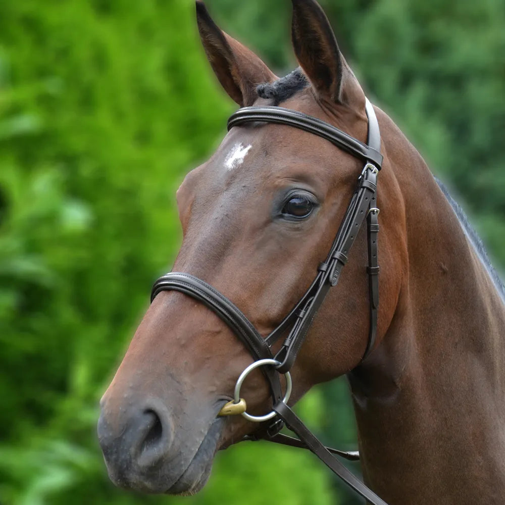 Hy Equestrian Padded Cavesson Bridle with Rubber Reins