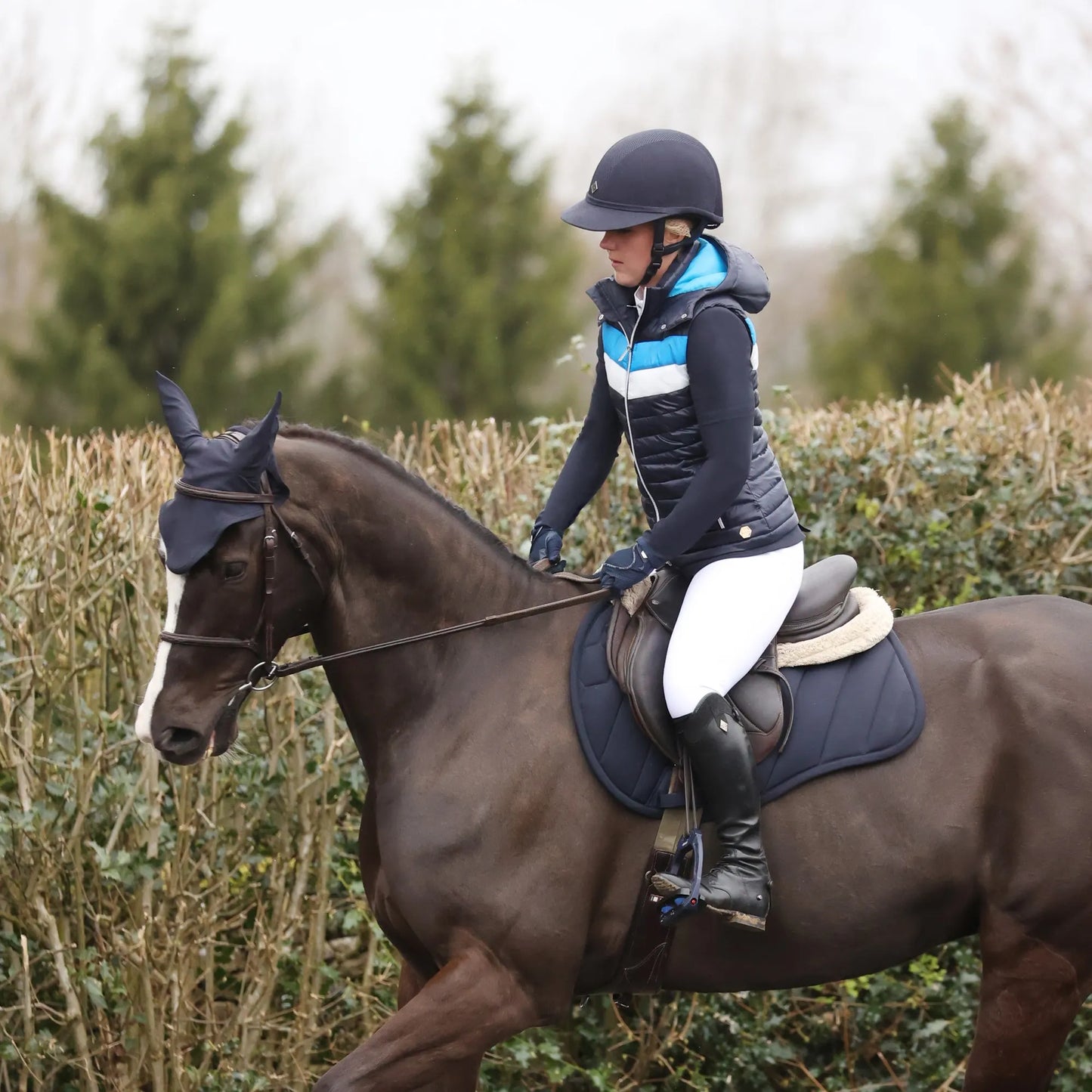 Coldstream Edrom Close Contact Saddle Pad- Navy