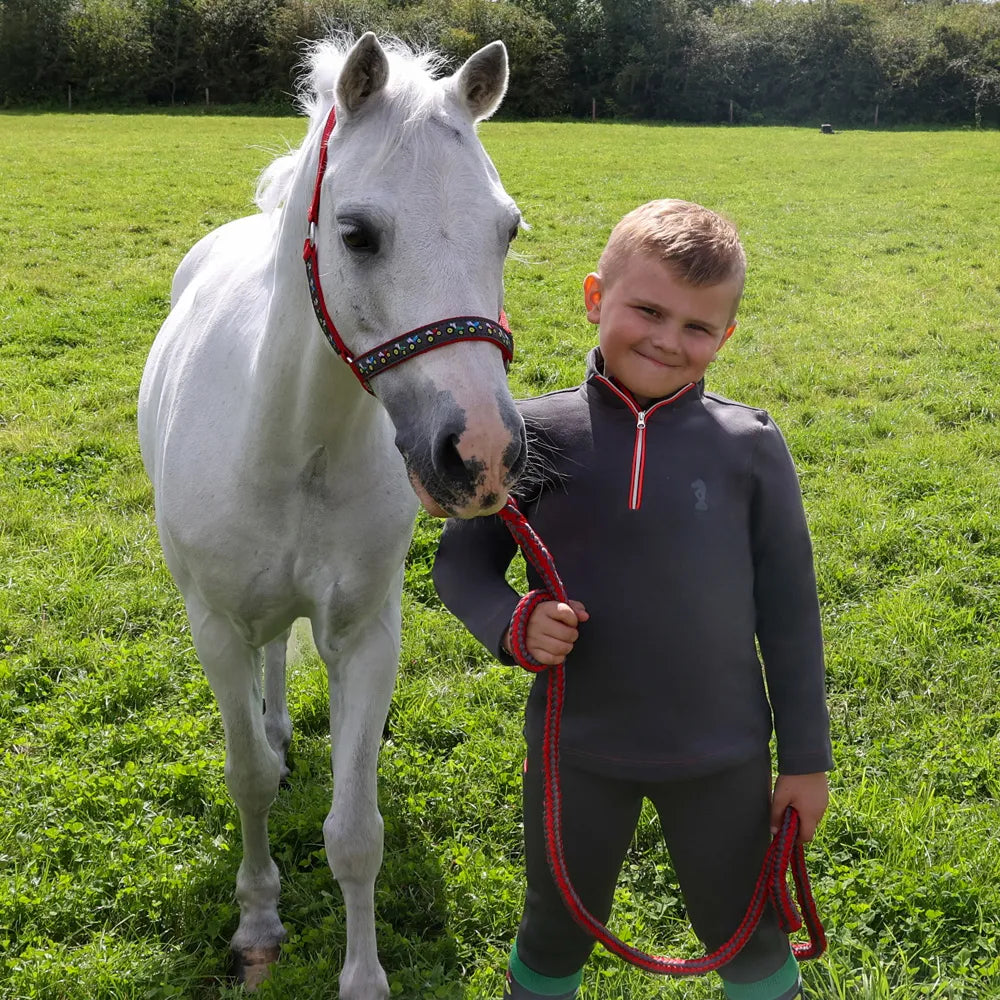 Tractor Print Headcollar and Leadrope set by Little Knight