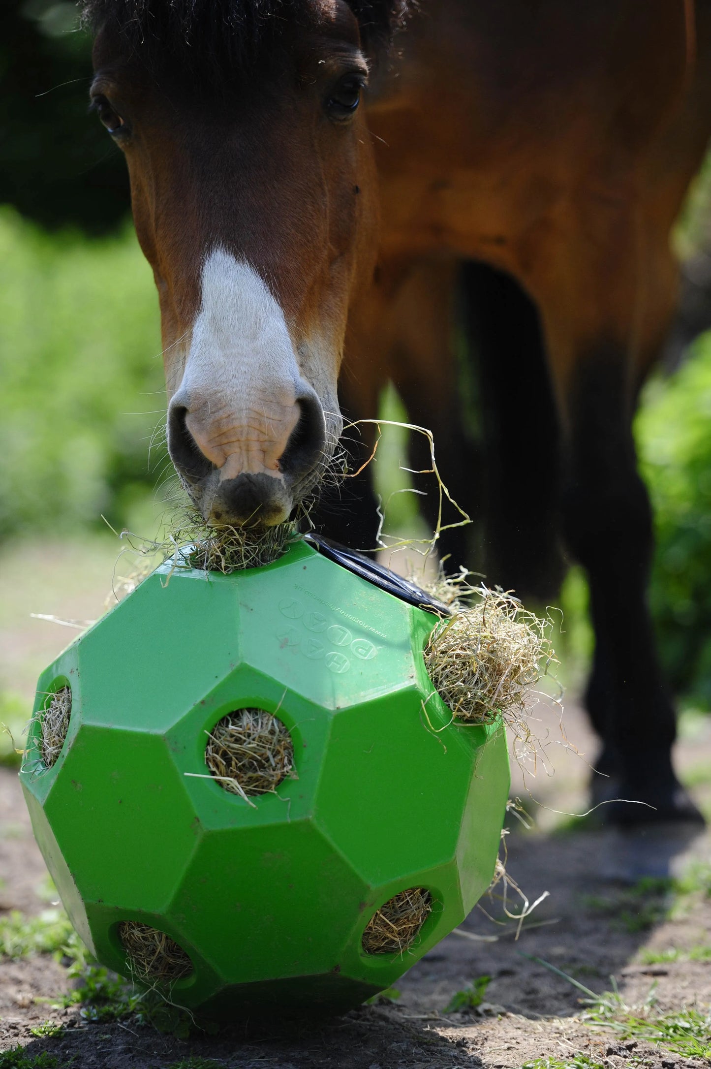 Parallax Hay Play