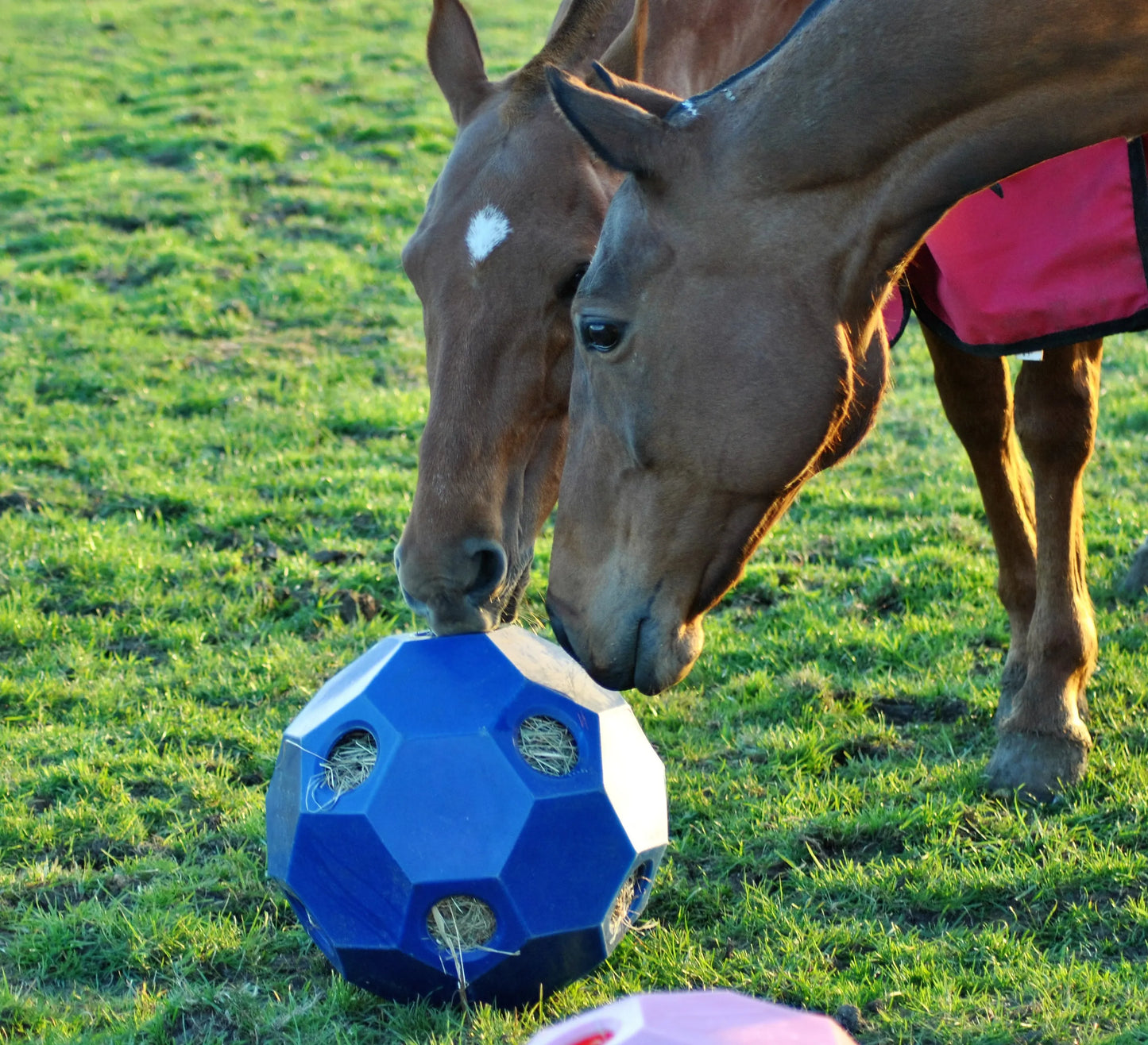 Parallax Hay Play