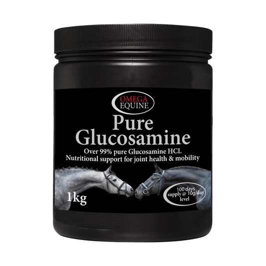 Omega Equine Glucosamine 1kg
