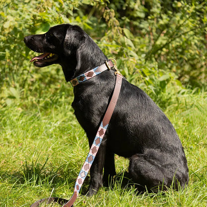 Benji & Flo Sublime Polo Leather Dog Lead- 115cm