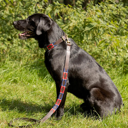 Benji & Flo Sublime Polo Leather Dog Lead- 115cm