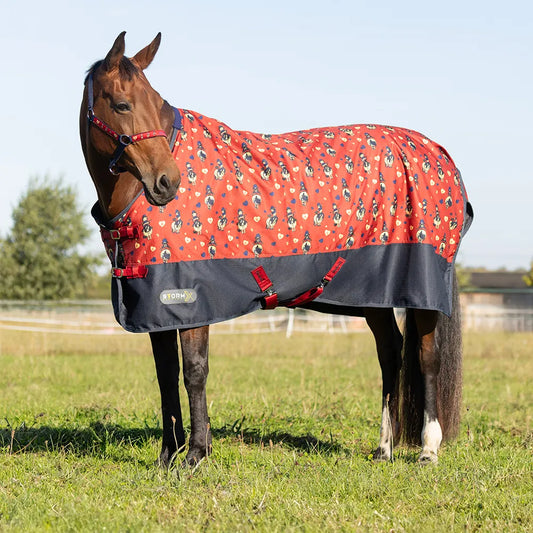 StormX Original 100 Turnout Rug - Thelwell Collection Balancing Act