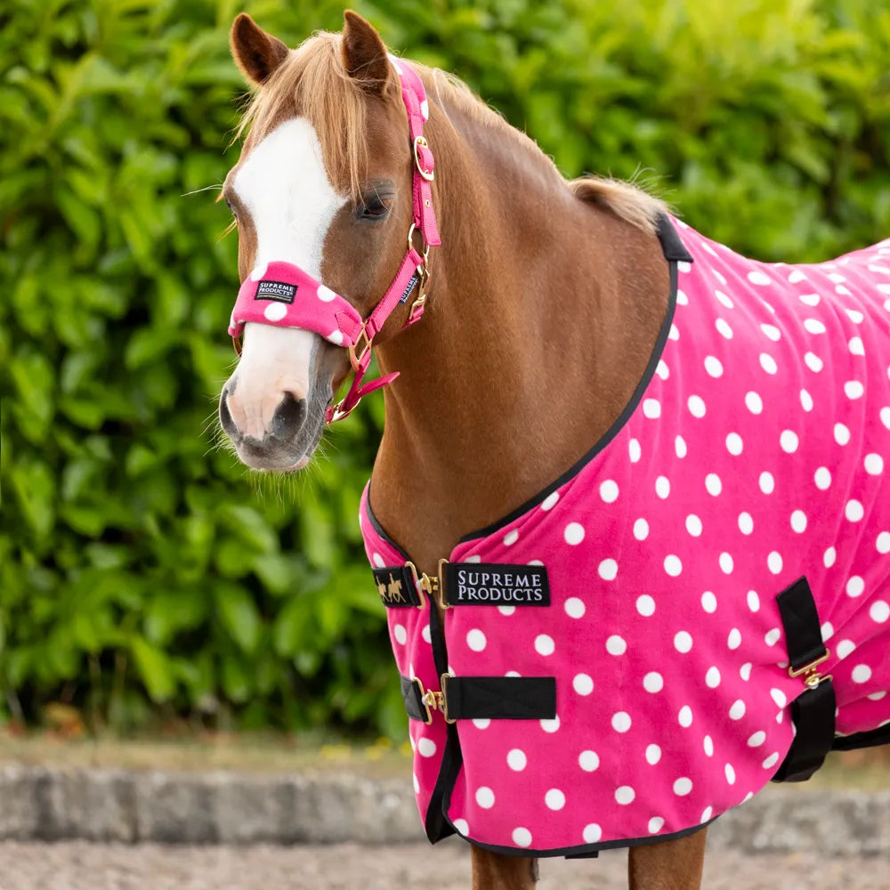 Supreme Products Dotty Fleece Rug