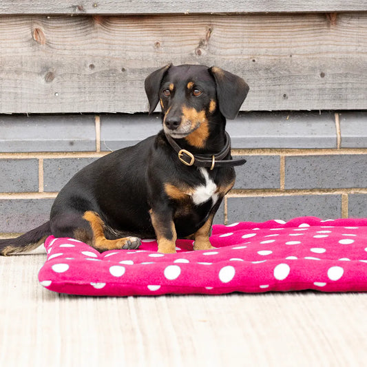 Supreme Products Dotty Fleece Dog Bed- 3 sizes