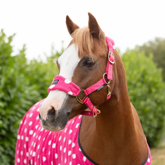 Pink- Supreme Products Dotty Headcollar and Leadrope set