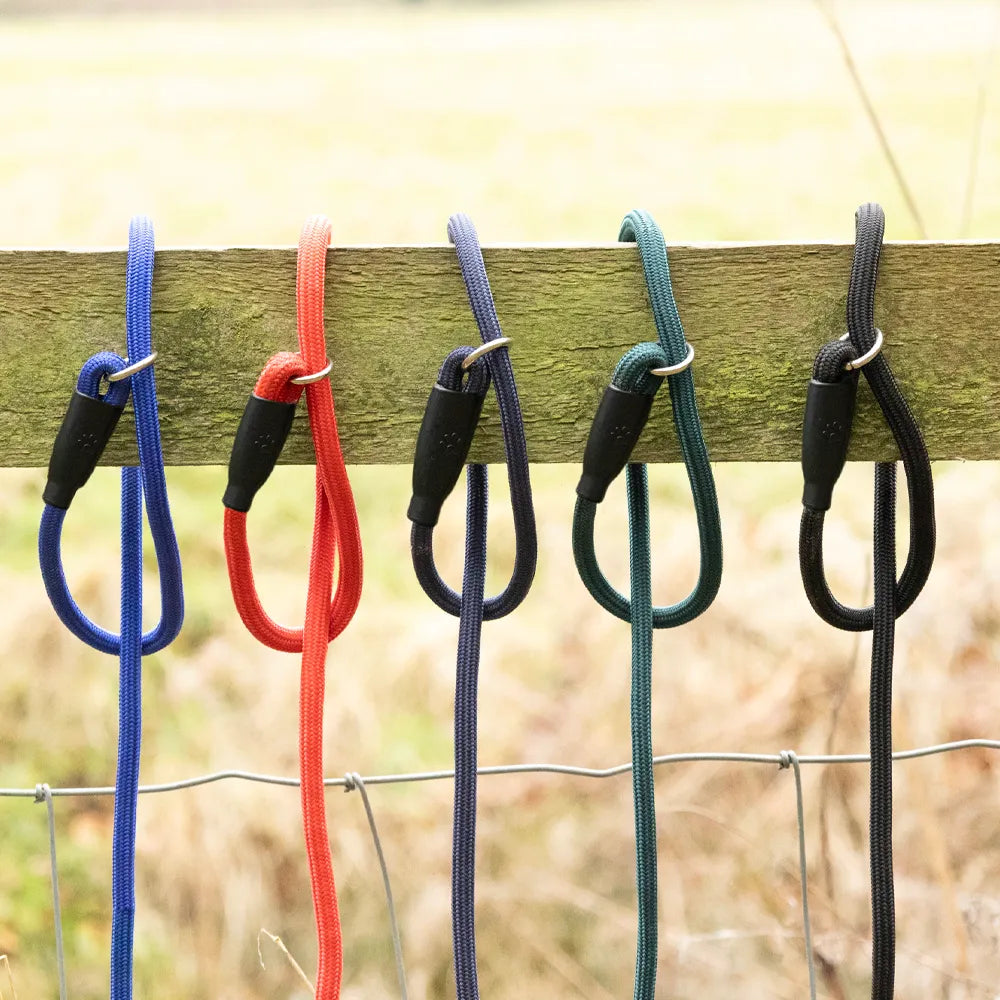 Benji & Flo Classic Slip Lead- Various Colours