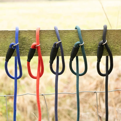Benji & Flo Classic Slip Lead- Various Colours