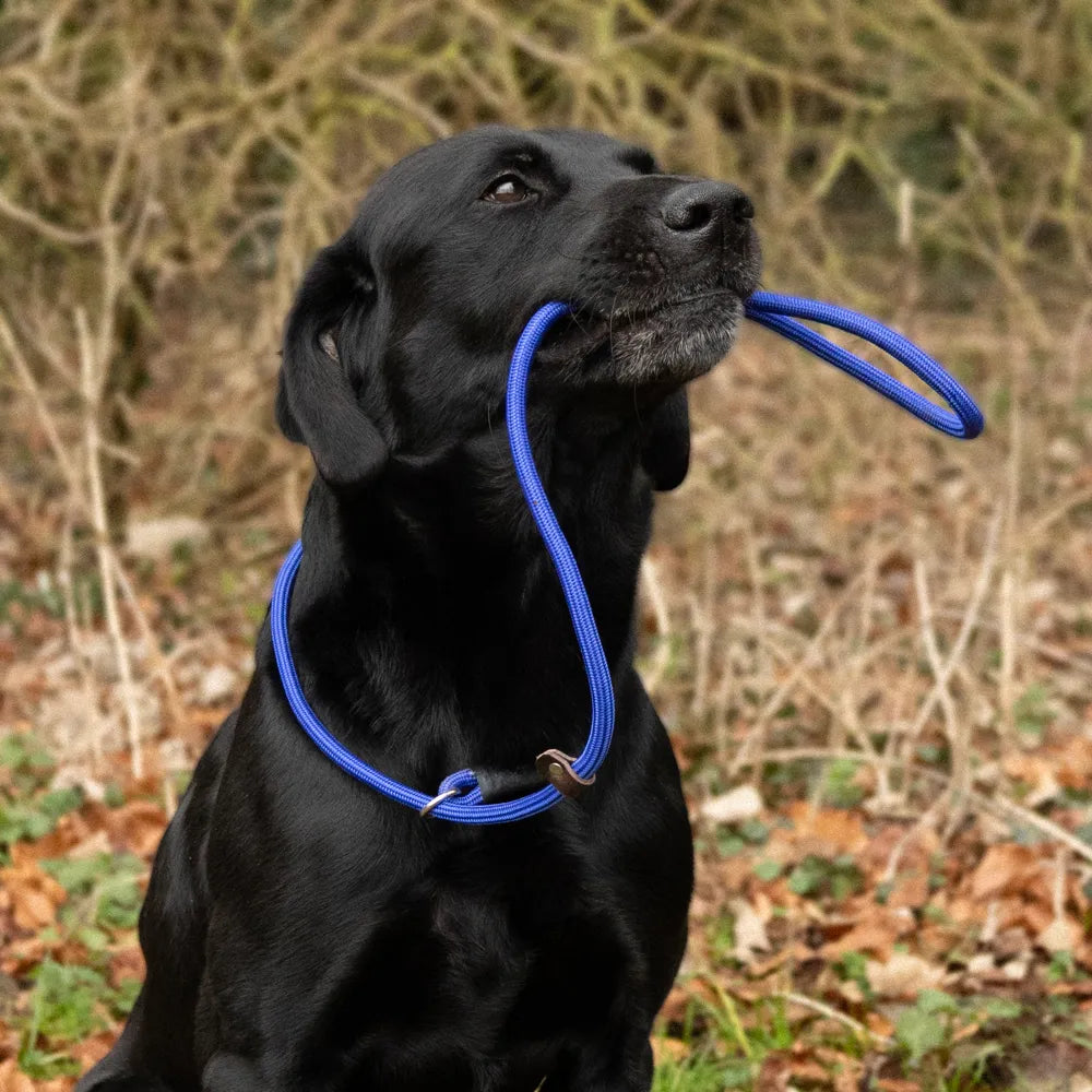 Benji & Flo Classic Slip Lead- Various Colours