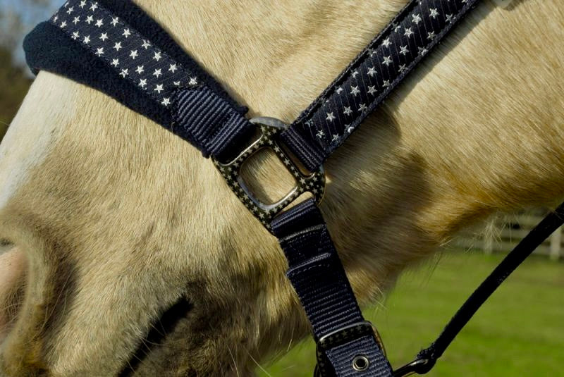 Rhinegold Star Spangled Headcollar & Rope Set