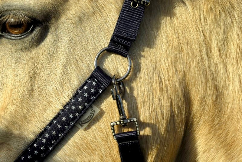 Rhinegold Star Spangled Headcollar & Rope Set