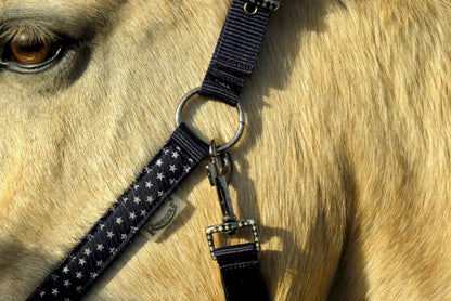 Rhinegold Star Spangled Headcollar & Rope Set