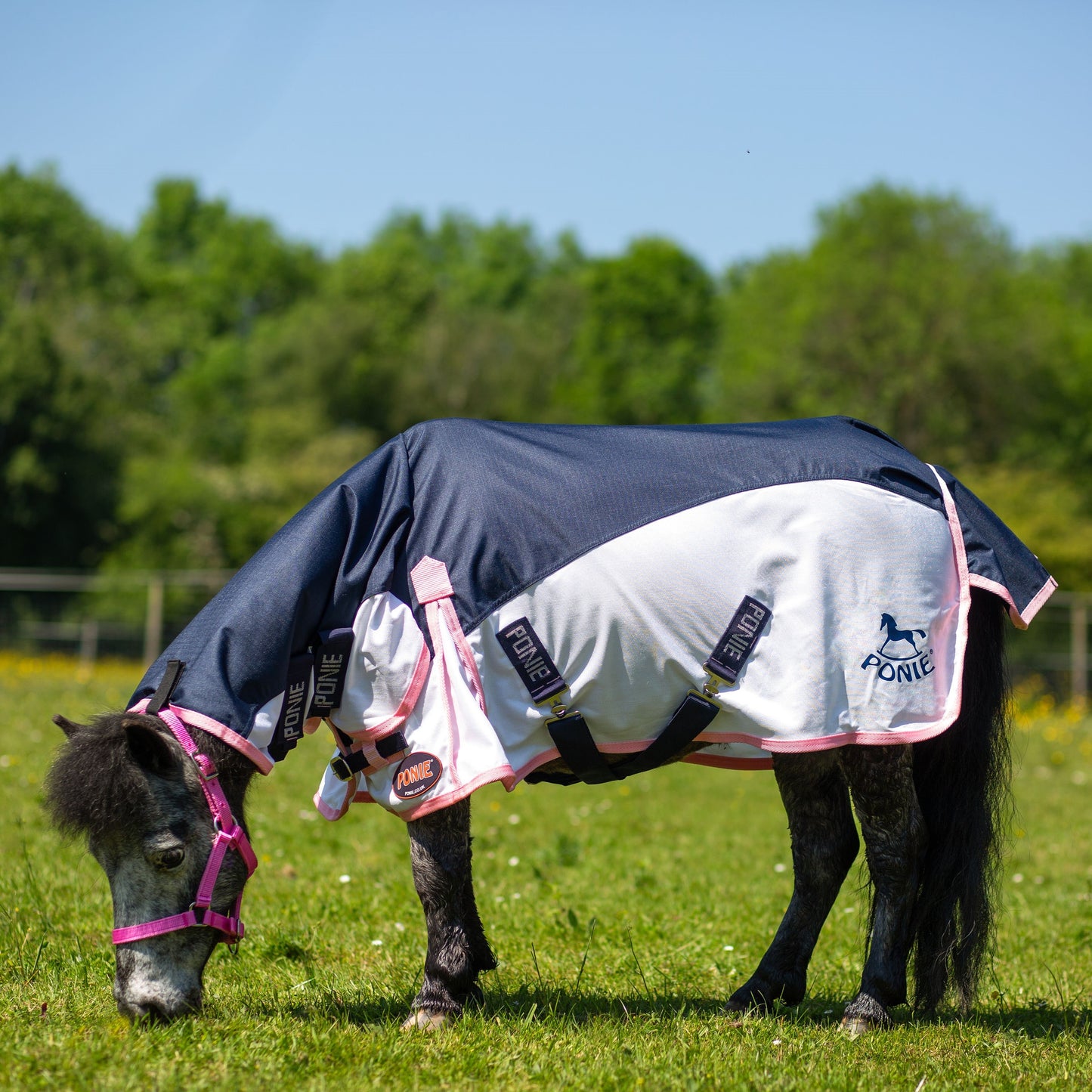 GALLOP PONIE - Hybrid Combo Fly Rug