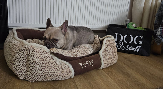 Kensington Luxury Dog Bed- Various Sizes