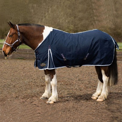 Gallop Navy Summer Sheet