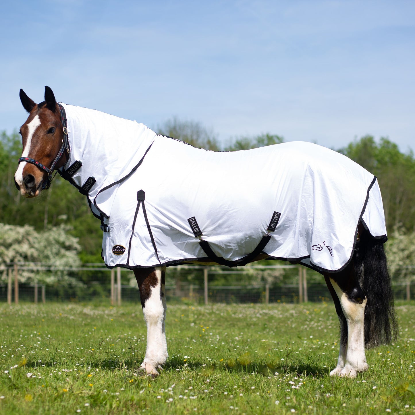 Gallop Classic Fly Combo