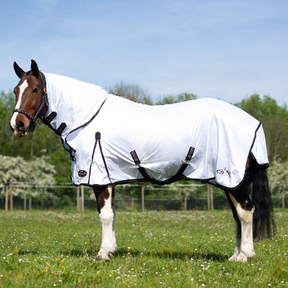 Gallop Classic Fly Combo