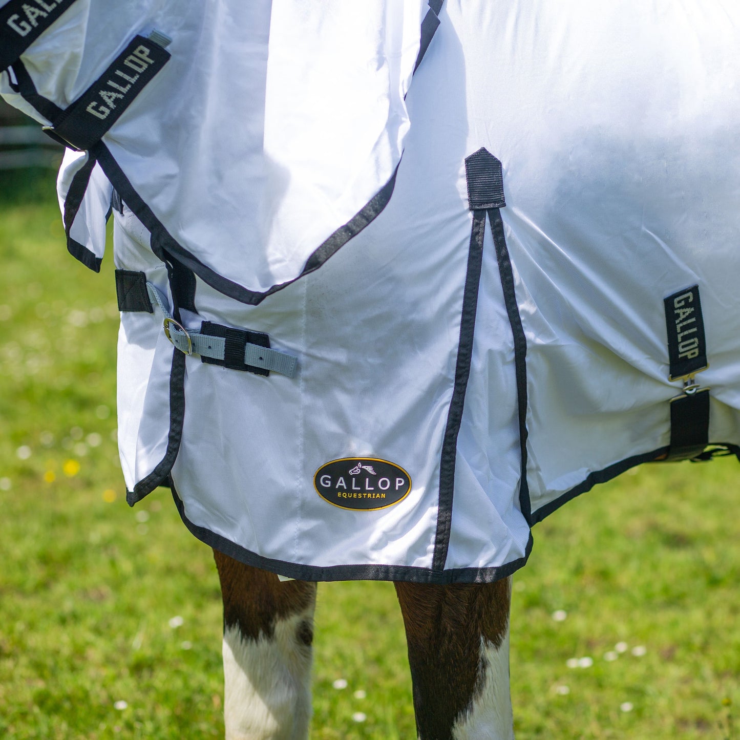 Gallop Classic Fly Combo