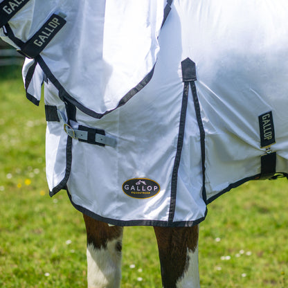 Gallop Classic Fly Combo