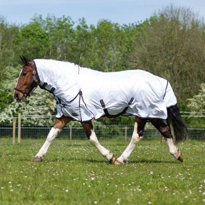 Gallop Classic Fly Rug