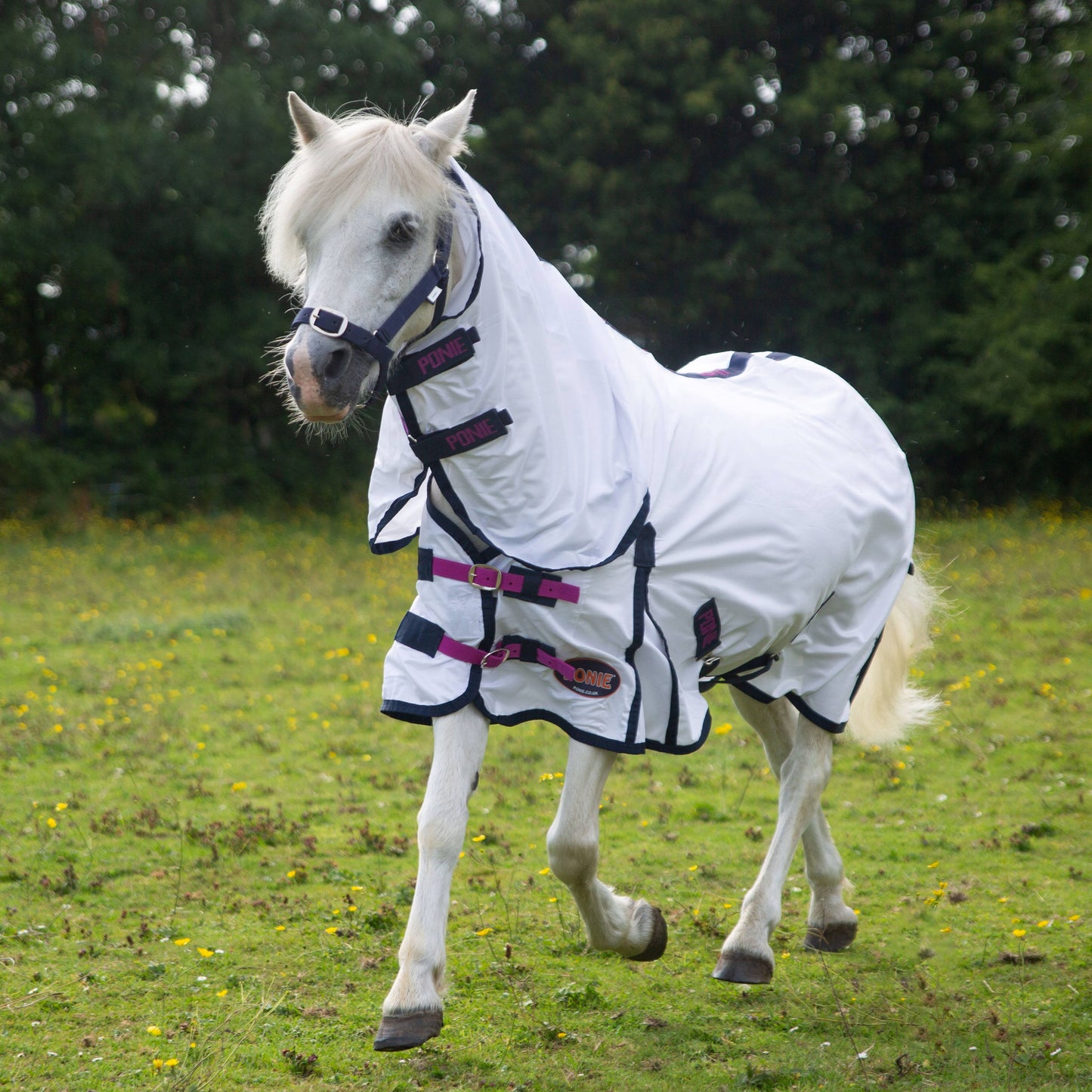 Gallop PONIE Essentials Combo Fly Rug
