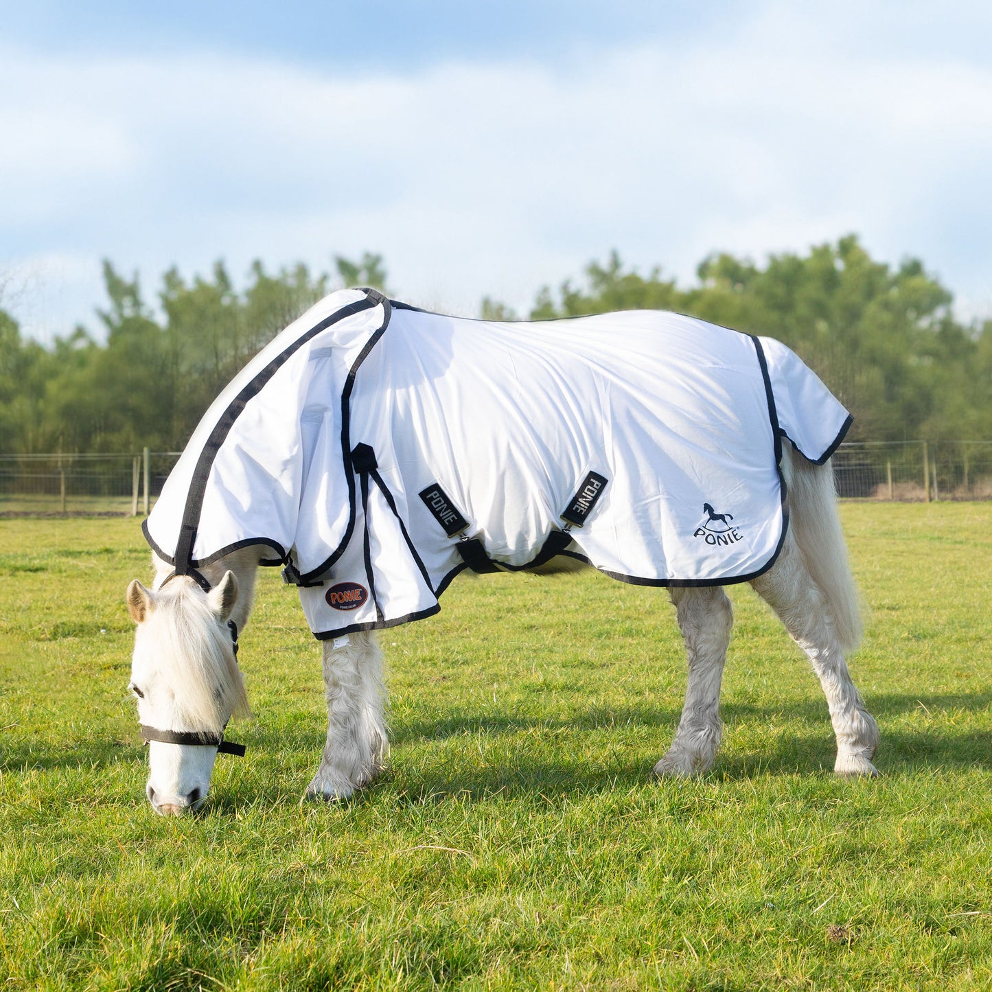 NEW PONIE Dual 5-Point Fly Rug & Neck Set