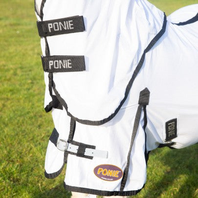 Ponie Dual 5-Point Fly rug