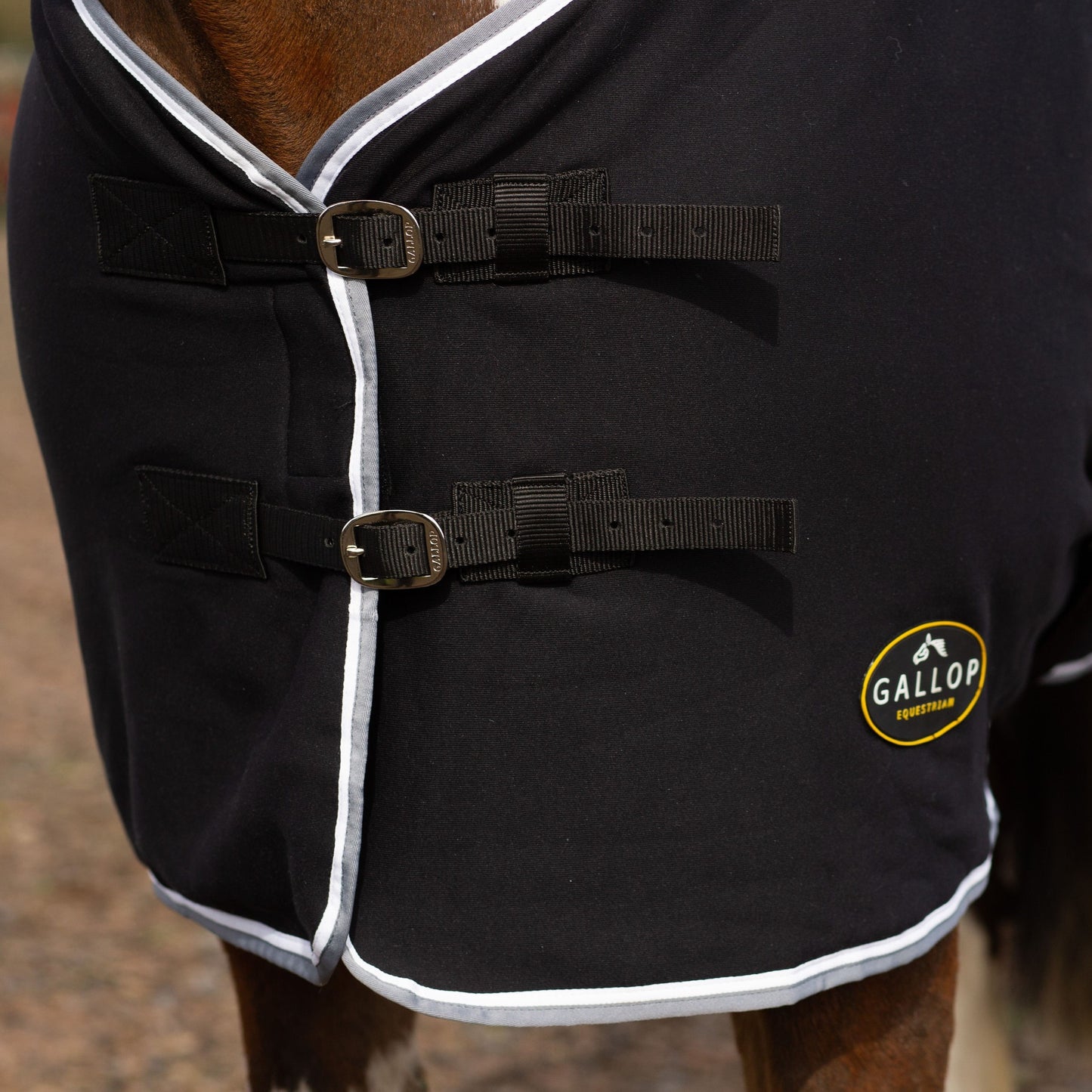 NEW GALLOP Black Jersey Cooler Rug