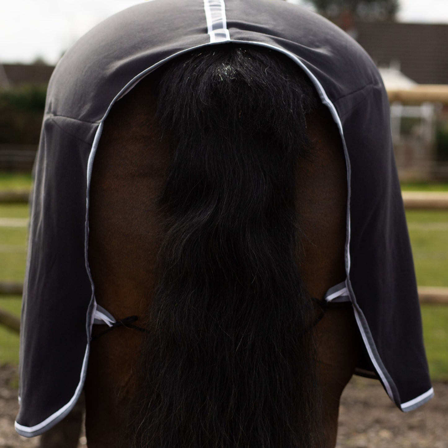 NEW GALLOP Black Jersey Cooler Rug