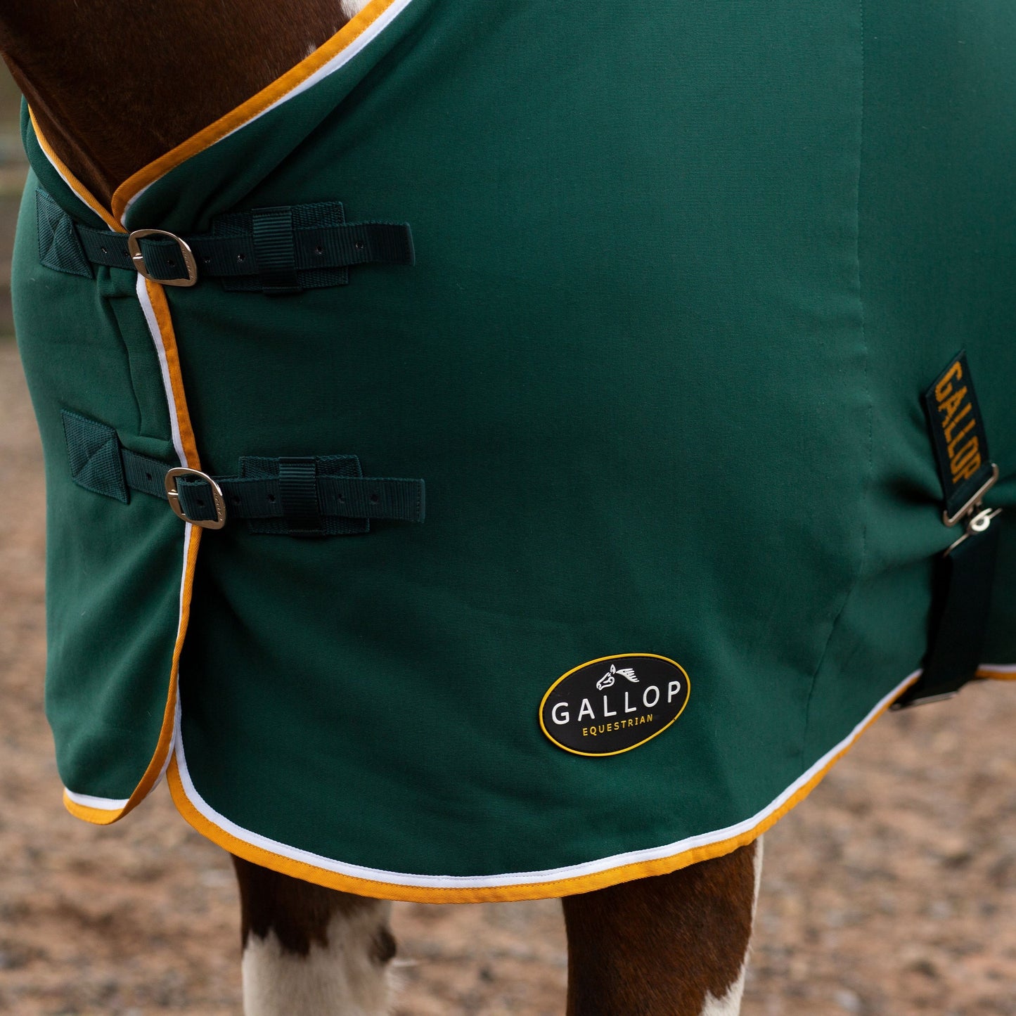 NEW GALLOP Green Jersey Cooler Rug