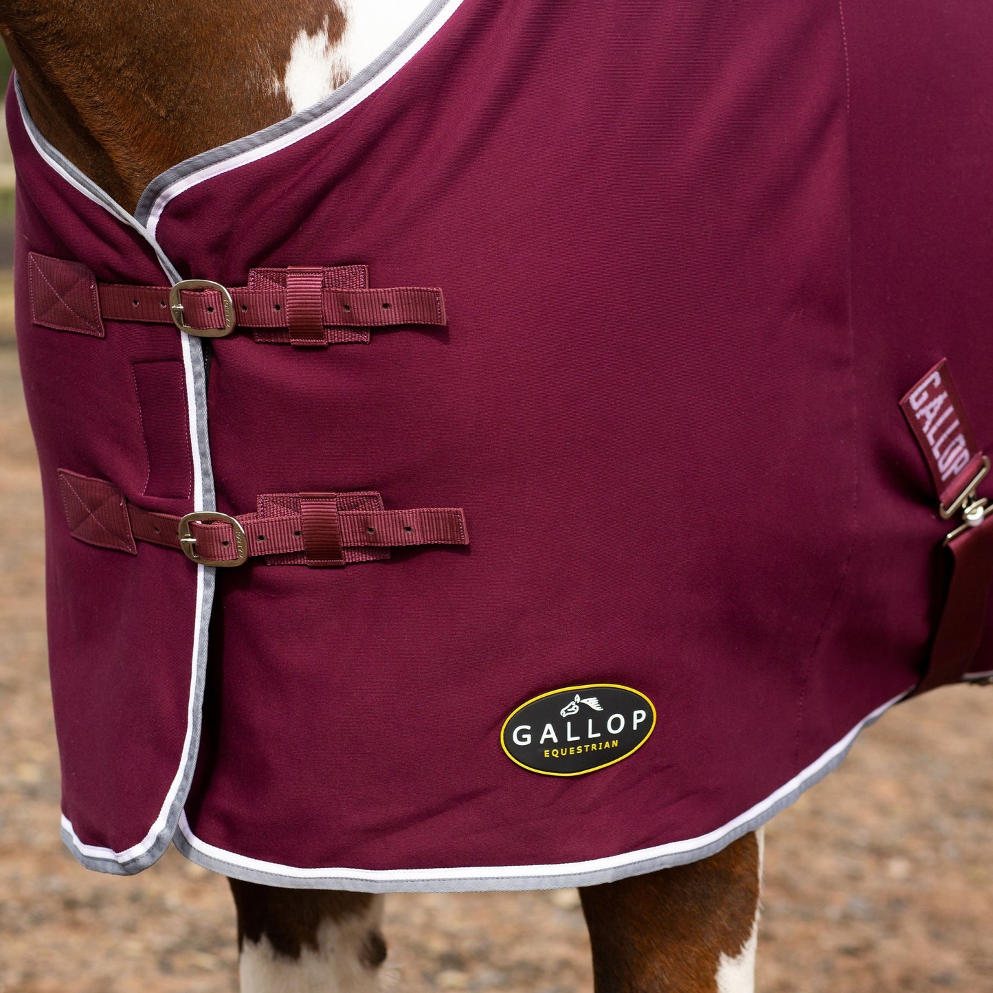 NEW GALLOP Fuchsia Jersey Cooler Rug