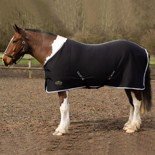 NEW GALLOP Black Jersey Cooler Rug