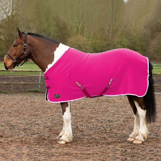 NEW GALLOP Fuchsia Jersey Cooler Rug