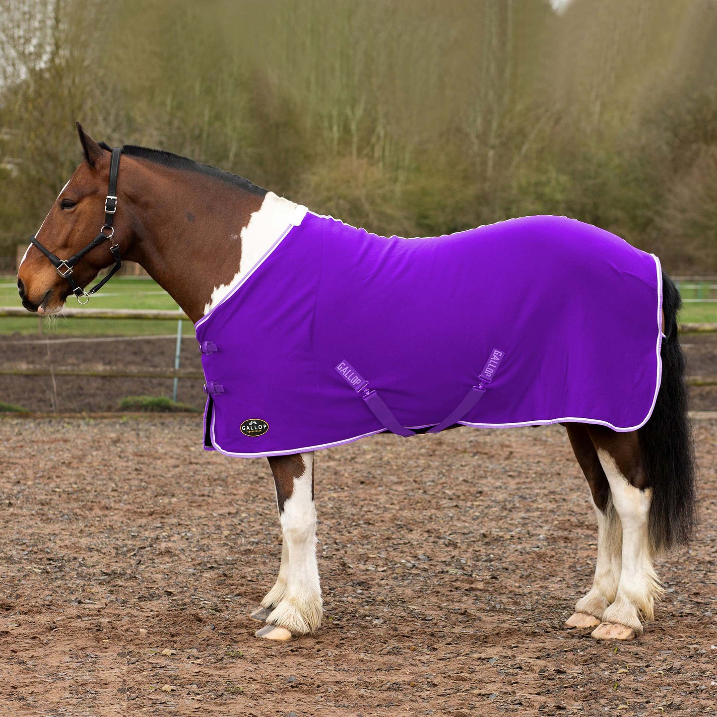 NEW GALLOP Purple Jersey Cooler Rug