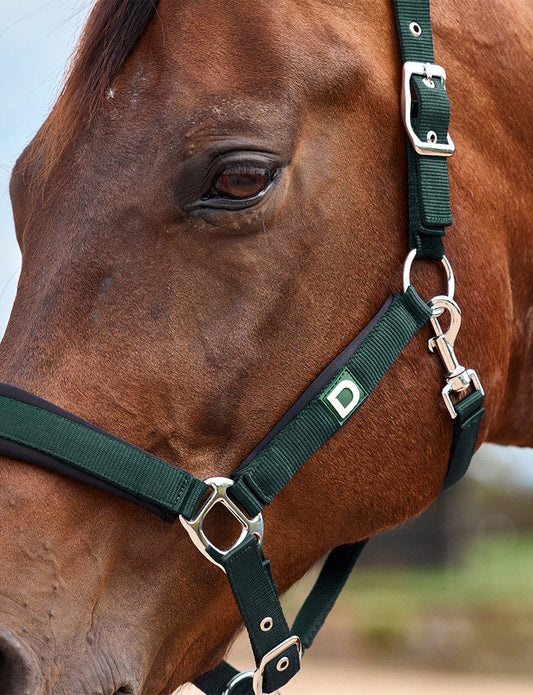 Dublin Neo Comfort Headcollar