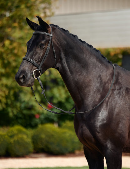 Dublin Padded Cavesson Bridle