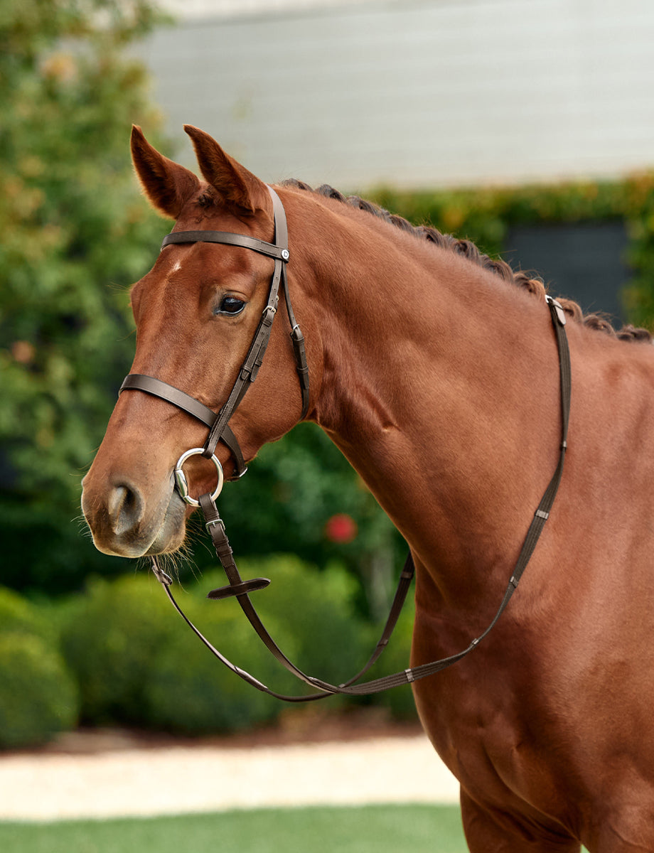 Dublin Flat Cavesson Bridle